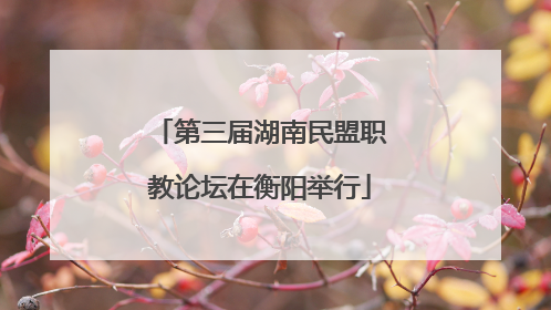 第三届湖南民盟职教论坛在衡阳举行
