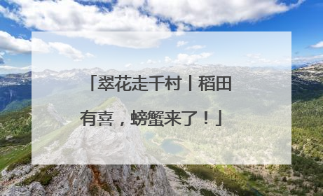 翠花走千村丨稻田有喜，螃蟹来了！