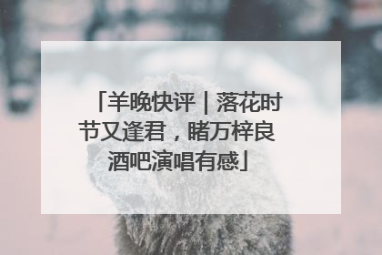 羊晚快评｜落花时节又逢君，睹万梓良酒吧演唱有感