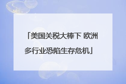 美国关税大棒下 欧洲多行业恐陷生存危机