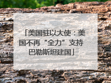 美国驻以大使：美国不再“全力”支持巴勒斯坦建国
