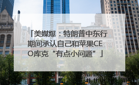 美媒爆：特朗普中东行期间承认自己和苹果CEO库克“有点小问题”