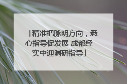 精准把脉明方向，悉心指导促发展 成都经实中迎调研指导