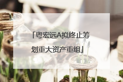 粤宏远A拟终止筹划重大资产重组