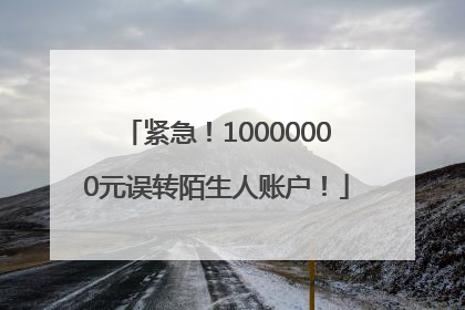 紧急！10000000元误转陌生人账户！