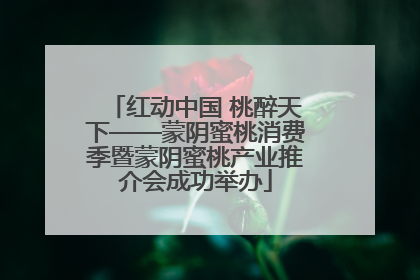 红动中国 桃醉天下——蒙阴蜜桃消费季暨蒙阴蜜桃产业推介会成功举办