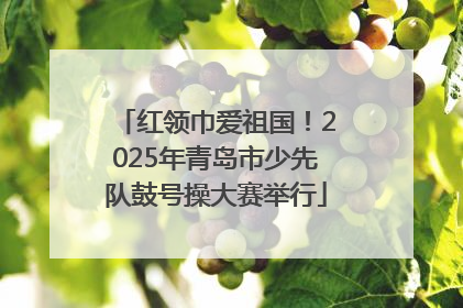 红领巾爱祖国！2025年青岛市少先队鼓号操大赛举行
