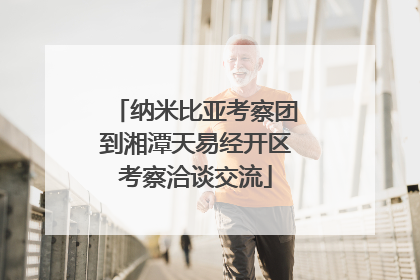 纳米比亚考察团到湘潭天易经开区考察洽谈交流
