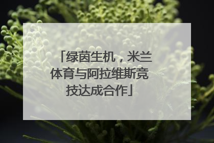 绿茵生机，米兰体育与阿拉维斯竞技达成合作