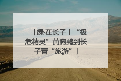 绿·在长子丨“极危精灵”黄胸鹀到长子营“旅游”