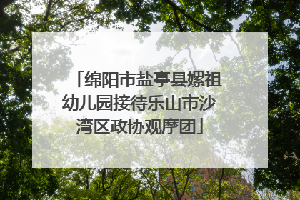 绵阳市盐亭县嫘祖幼儿园接待乐山市沙湾区政协观摩团