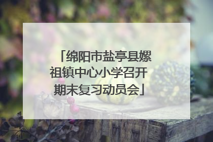 绵阳市盐亭县嫘祖镇中心小学召开期末复习动员会