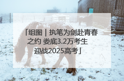 组图｜执笔为剑赴青春之约 娄底3.2万考生迎战2025高考