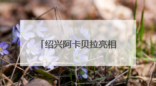 绍兴阿卡贝拉亮相嘉兴南湖，浙江省TOP100文化服务菜单首单落定