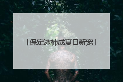 保定冰柿成夏日新宠