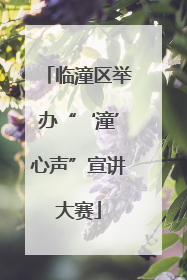 临潼区举办“‘潼’心声”宣讲大赛