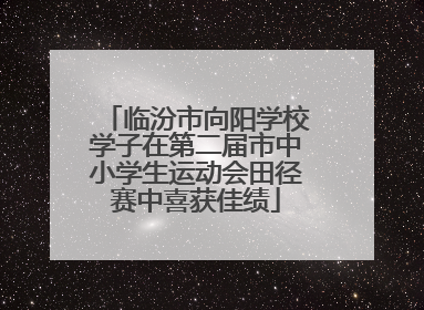 临汾市向阳学校学子在第二届市中小学生运动会田径赛中喜获佳绩