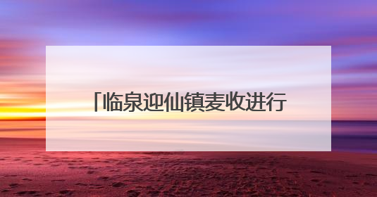 临泉迎仙镇麦收进行时：农机手“无忧作业”背后的服务温度