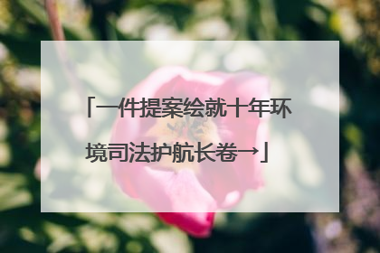一件提案绘就十年环境司法护航长卷→