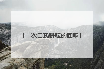 一次自我耕耘的回响