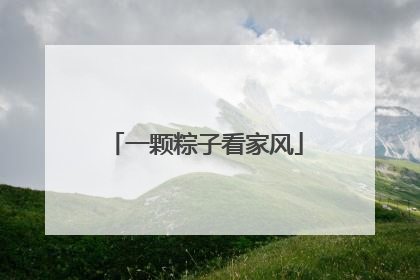 一颗粽子看家风