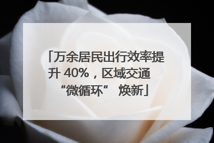 万余居民出行效率提升 40%，区域交通 “微循环” 焕新