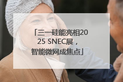 三一硅能亮相2025 SNEC展，智能微网成焦点
