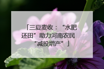 三夏麦收：“水肥还田”助力河南农民“减投增产”