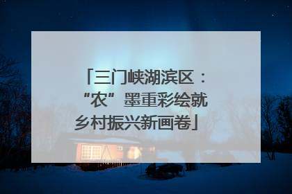 三门峡湖滨区：“农”墨重彩绘就乡村振兴新画卷
