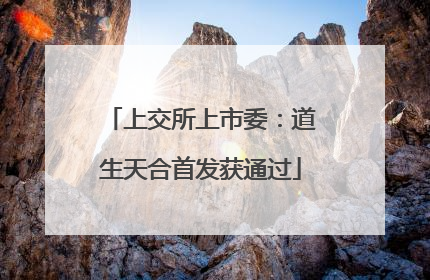 上交所上市委：道生天合首发获通过