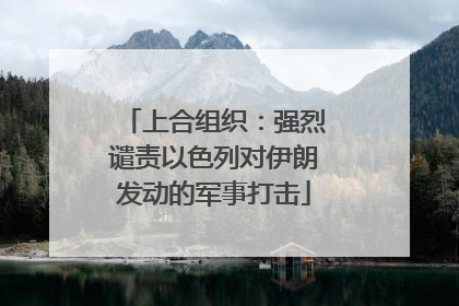 上合组织：强烈谴责以色列对伊朗发动的军事打击
