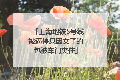 上海地铁5号线被逼停只因女子的包被车门夹住