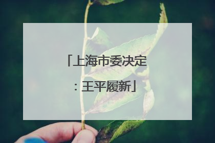 上海市委决定：王平履新