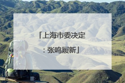 上海市委决定：张鸣履新