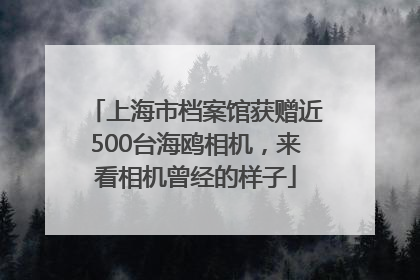 上海市档案馆获赠近500台海鸥相机，来看相机曾经的样子