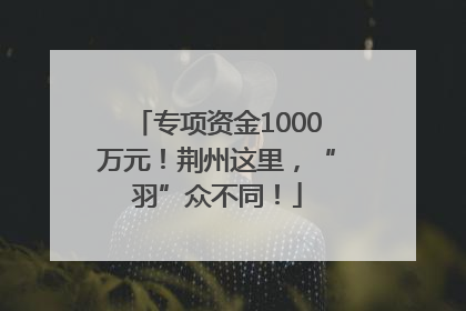 专项资金1000万元！荆州这里，“羽”众不同！
