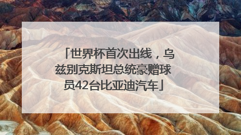 世界杯首次出线，乌兹别克斯坦总统豪赠球员42台比亚迪汽车