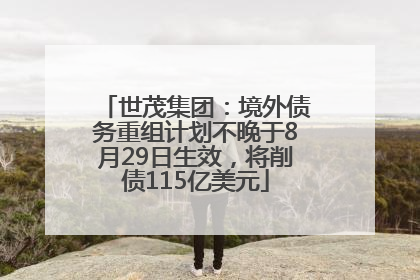 世茂集团：境外债务重组计划不晚于8月29日生效，将削债115亿美元