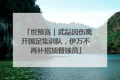 世预赛｜武磊因伤离开国足集训队，伊万不再补招顶替球员
