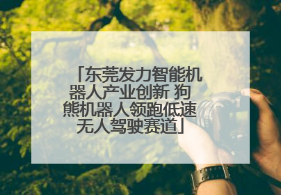 东莞发力智能机器人产业创新 狗熊机器人领跑低速无人驾驶赛道