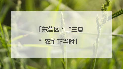东营区：“三夏”农忙正当时