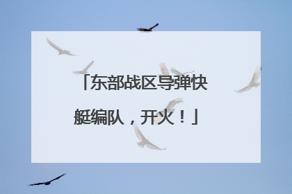 东部战区导弹快艇编队，开火！