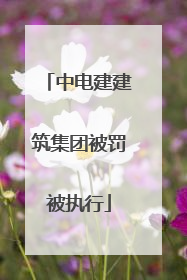 中电建建筑集团被罚被执行
