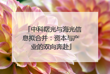 中科曙光与海光信息拟合并：资本与产业的双向奔赴
