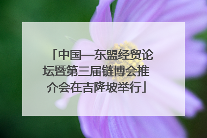 中国—东盟经贸论坛暨第三届链博会推介会在吉隆坡举行