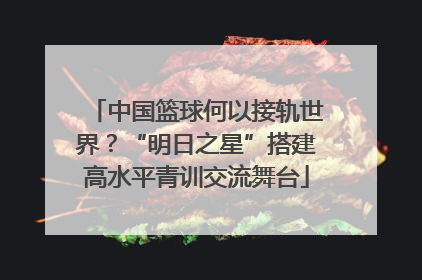 中国篮球何以接轨世界？“明日之星”搭建高水平青训交流舞台