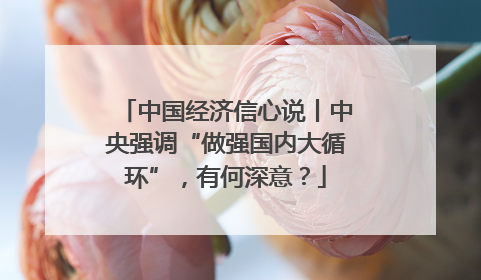 中国经济信心说丨中央强调“做强国内大循环”，有何深意？