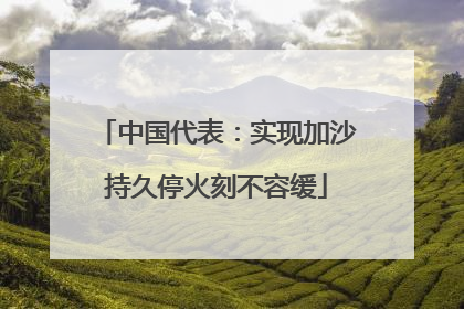 中国代表：实现加沙持久停火刻不容缓