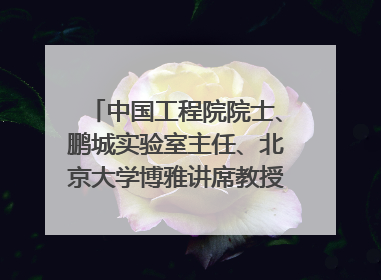 中国工程院院士、鹏城实验室主任、北京大学博雅讲席教授高文：“以人为本 智能向善” 推动文化与科技相生相促｜聚焦2025文化强国建设高峰论坛