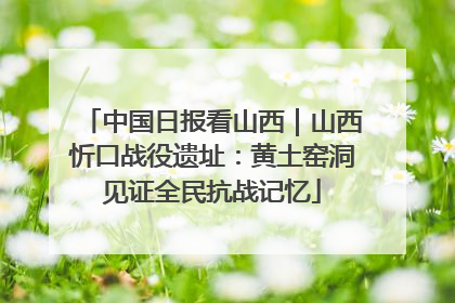 中国日报看山西｜山西忻口战役遗址：黄土窑洞见证全民抗战记忆